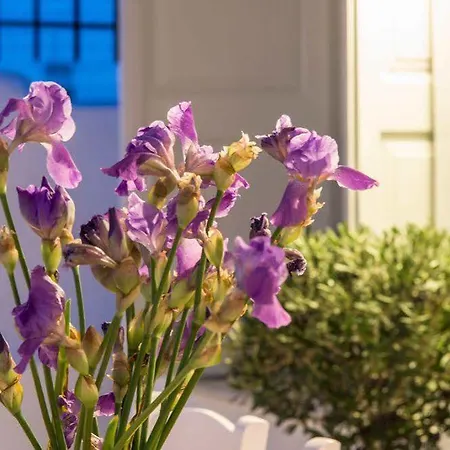 Erofili Villa Fira (Santorini)